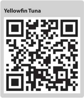 Image for QR code for this page